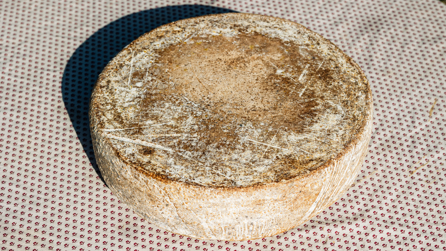 Belle de brebis fermiere