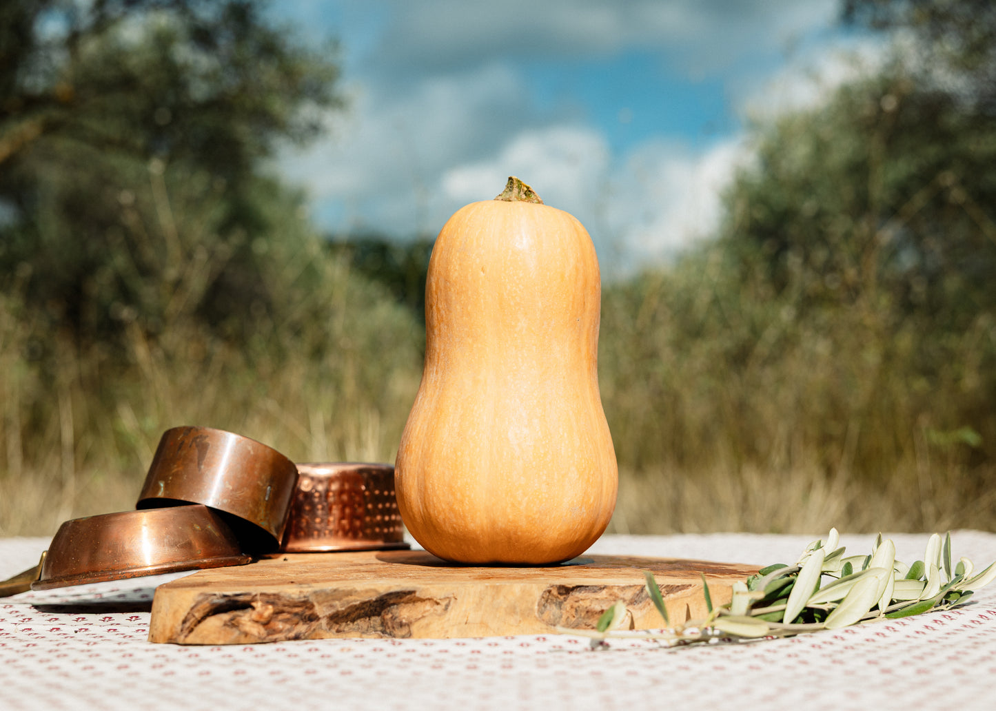 Butternut HVE