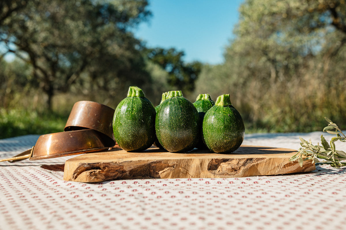 Courgettes rondes HVE