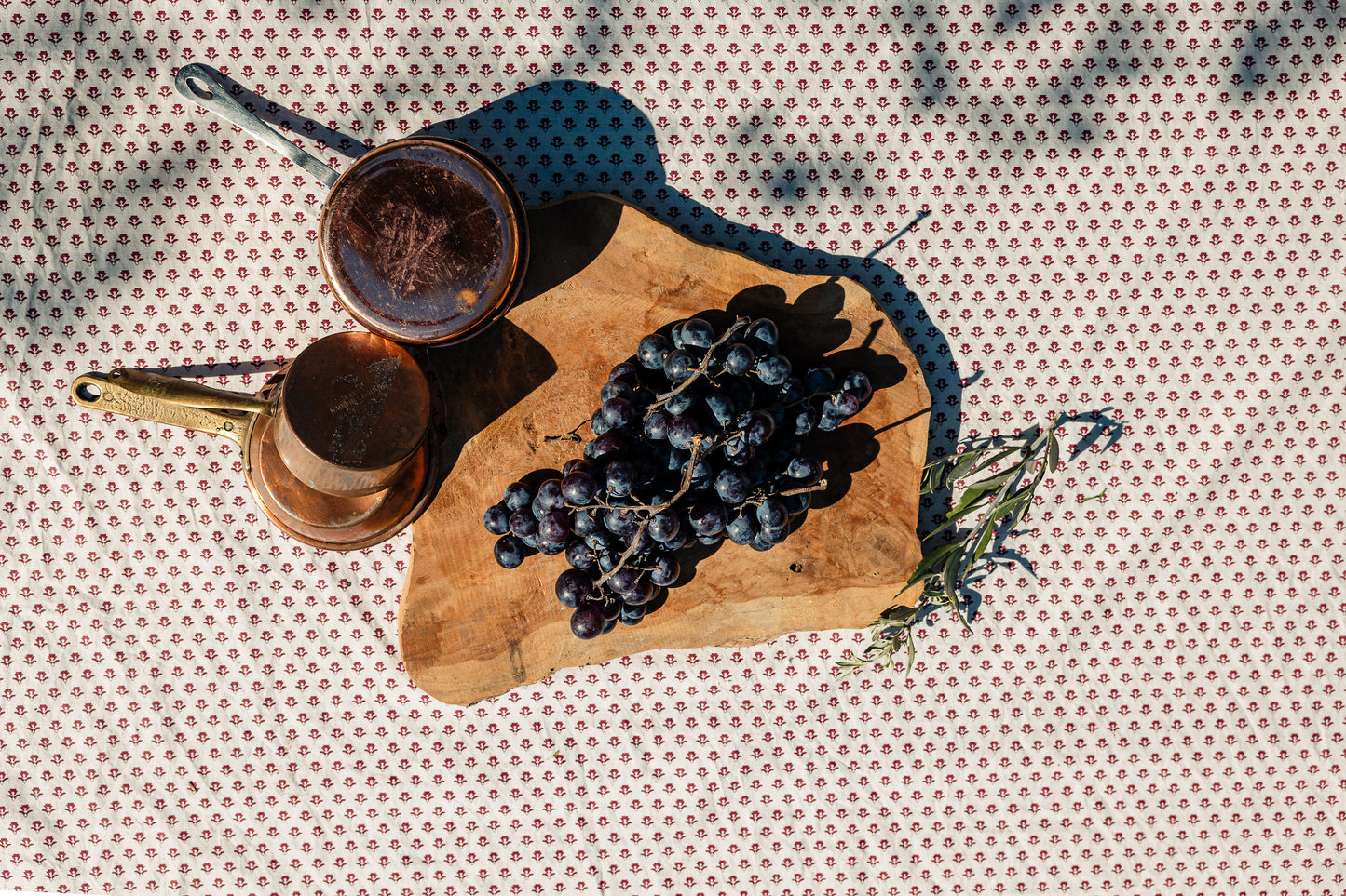 Raisin Prima HVE