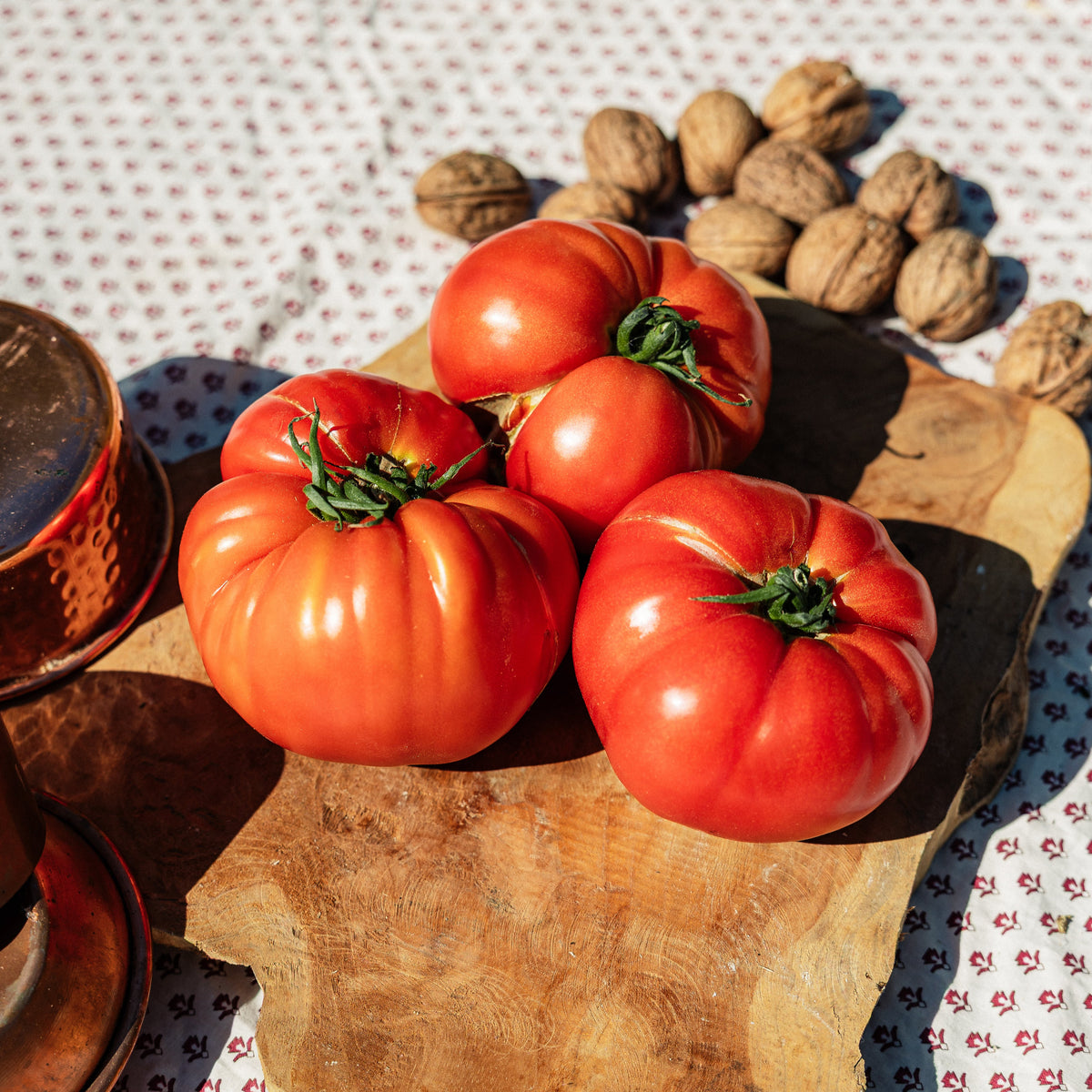 Tomates Coeur de Boeuf HVE