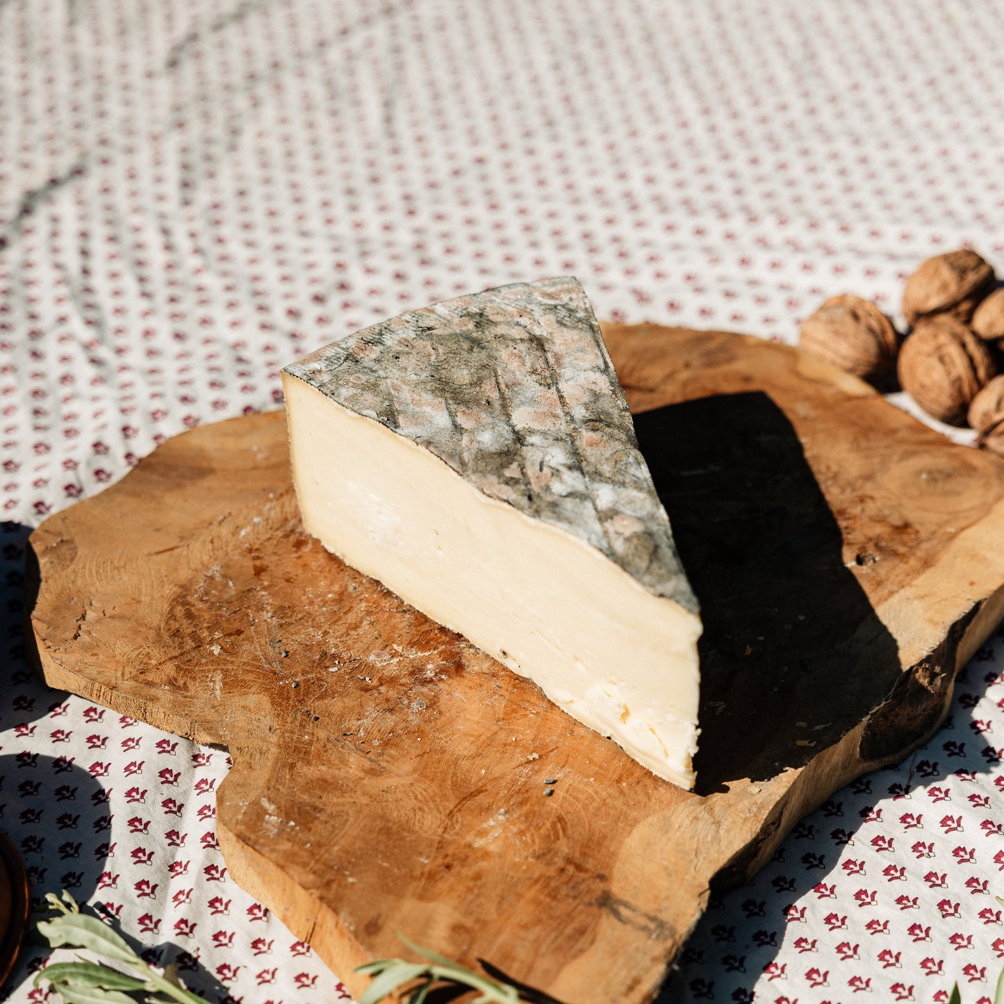 Tomme de montagne