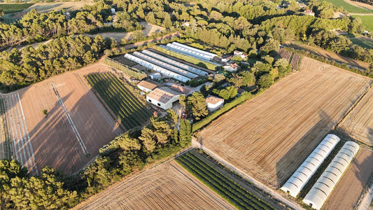 GAEC les Bougainvillees