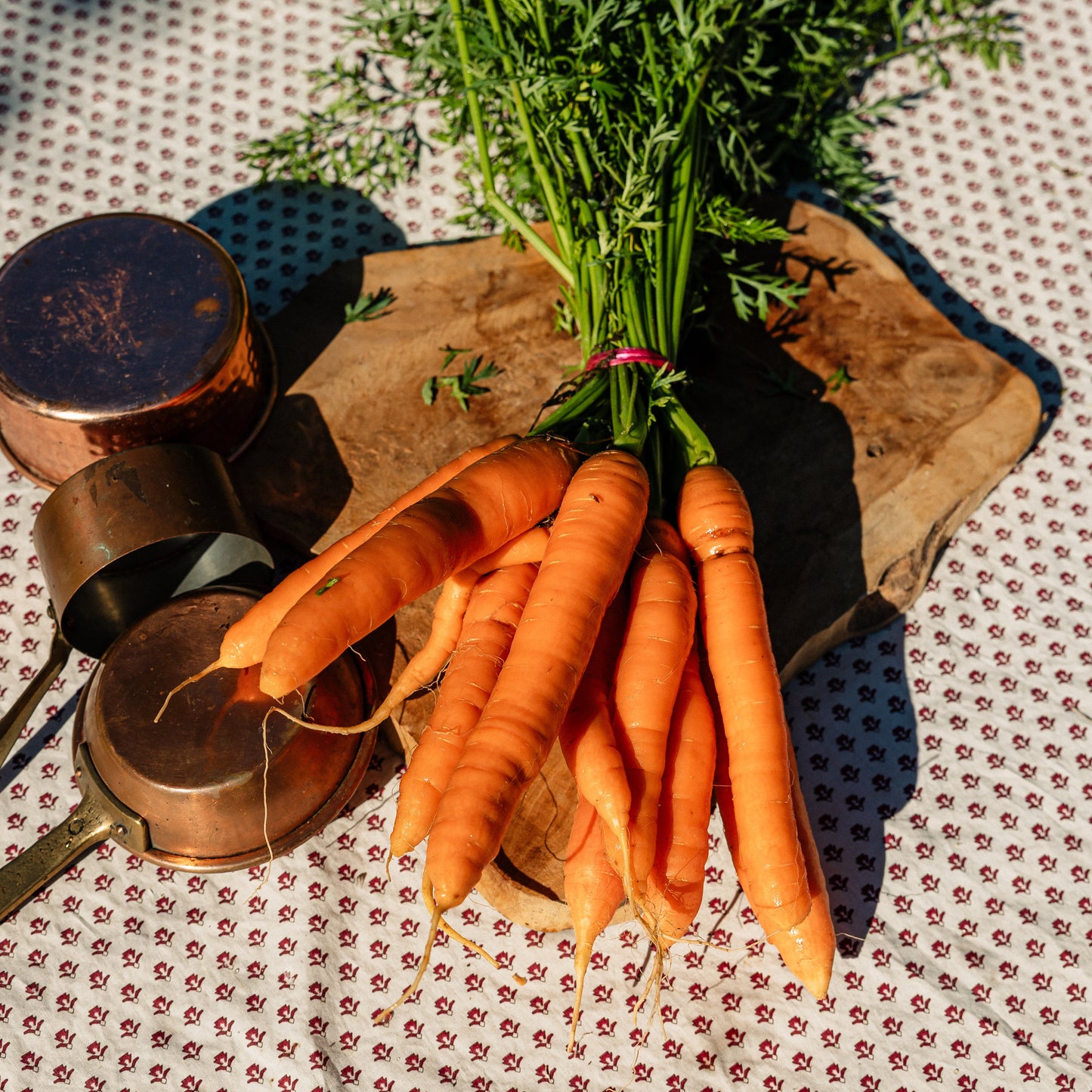 Botte de carottes fane HVE