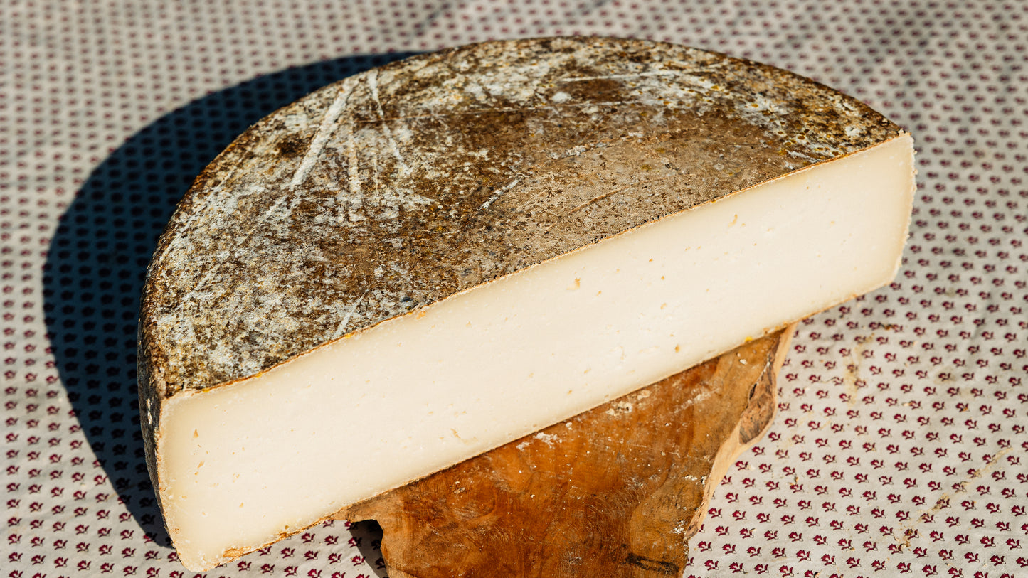 Belle de brebis fermiere