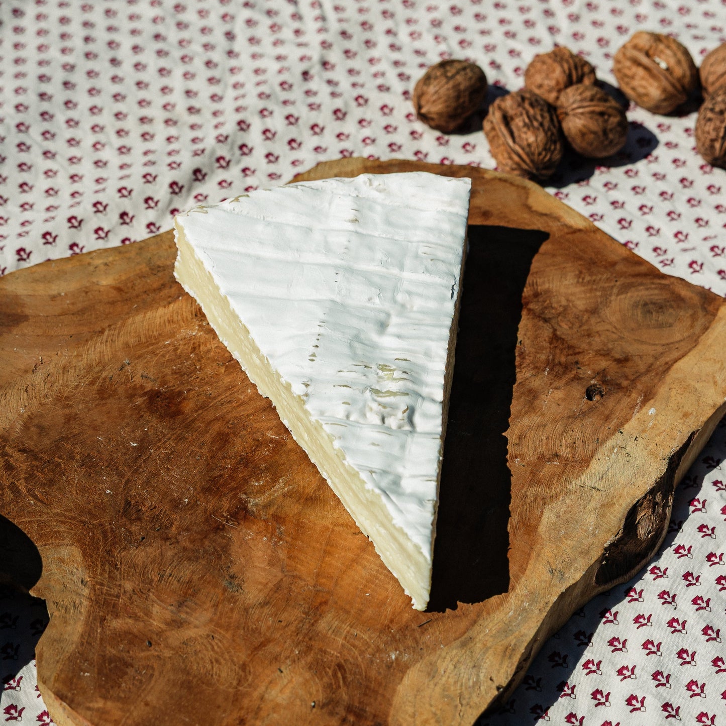 Brie de Meaux AOP au lait cru