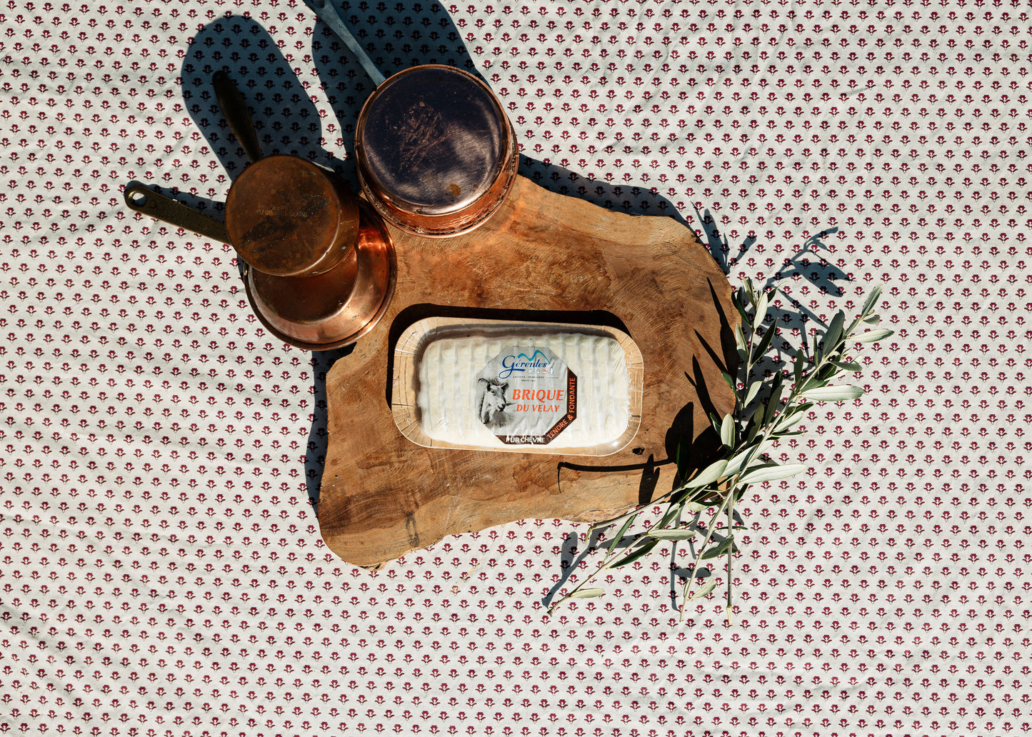 Brique de chevre