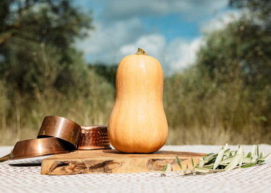 Butternut HVE