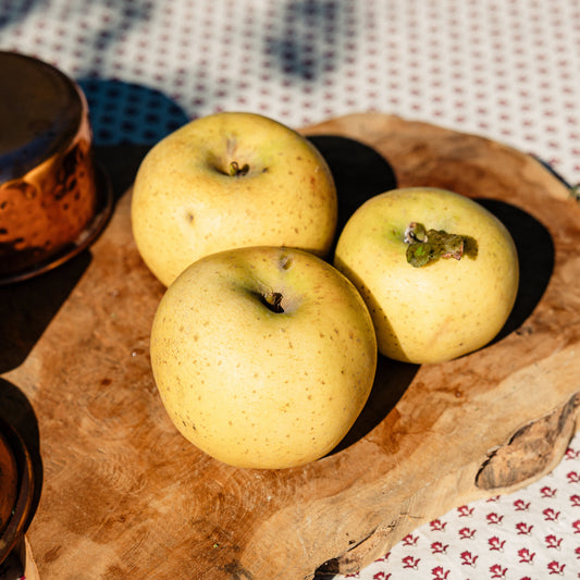 Pomme Chanteclerc HVE