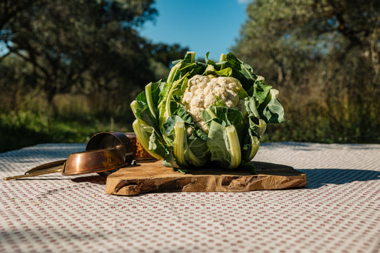 Chou-Fleur HVE