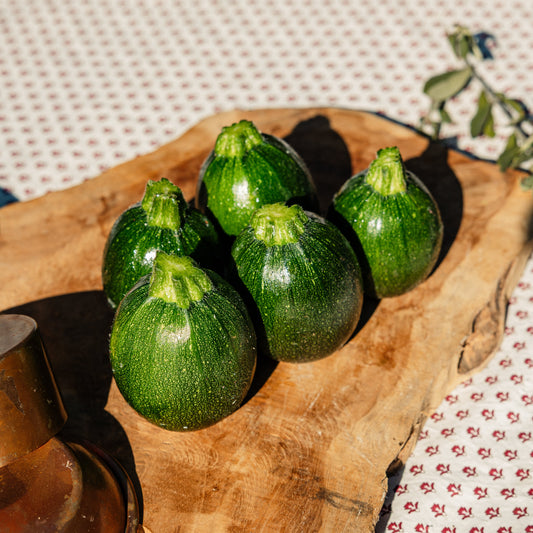 Courgettes rondes HVE