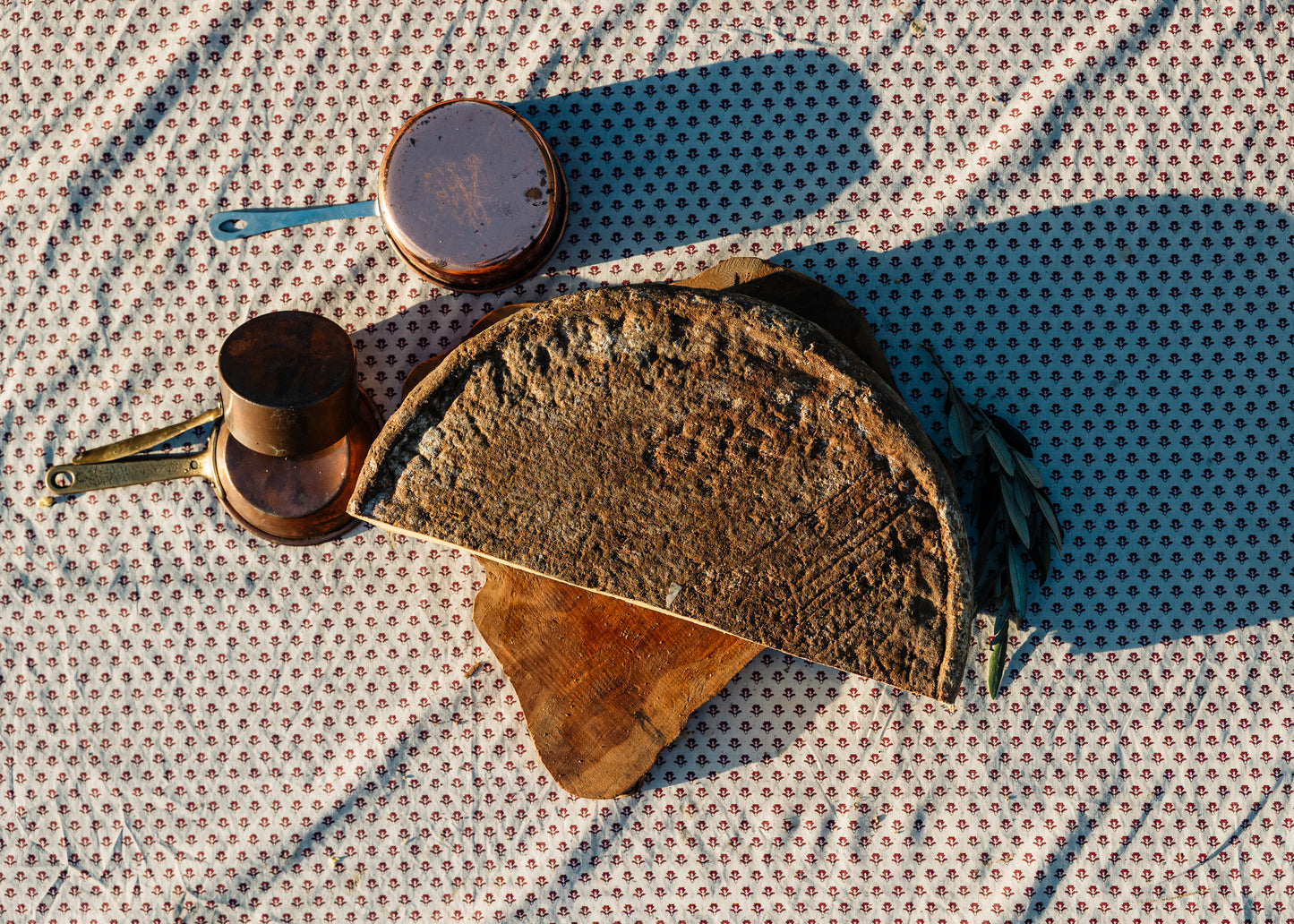 Tomme fermiere de vache vieille