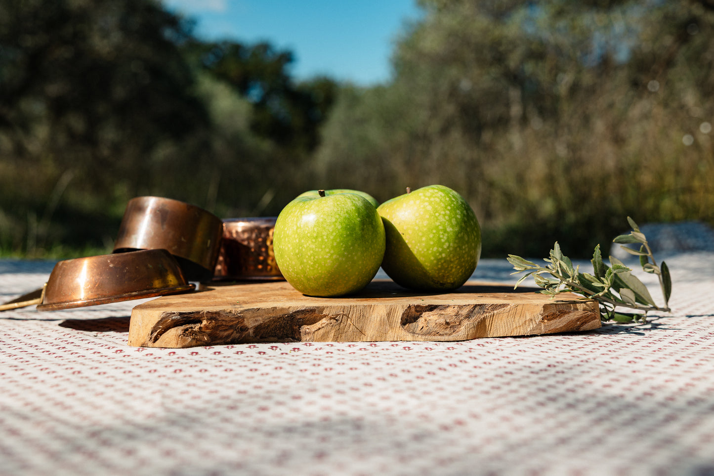 Pomme Granny Smith HVE