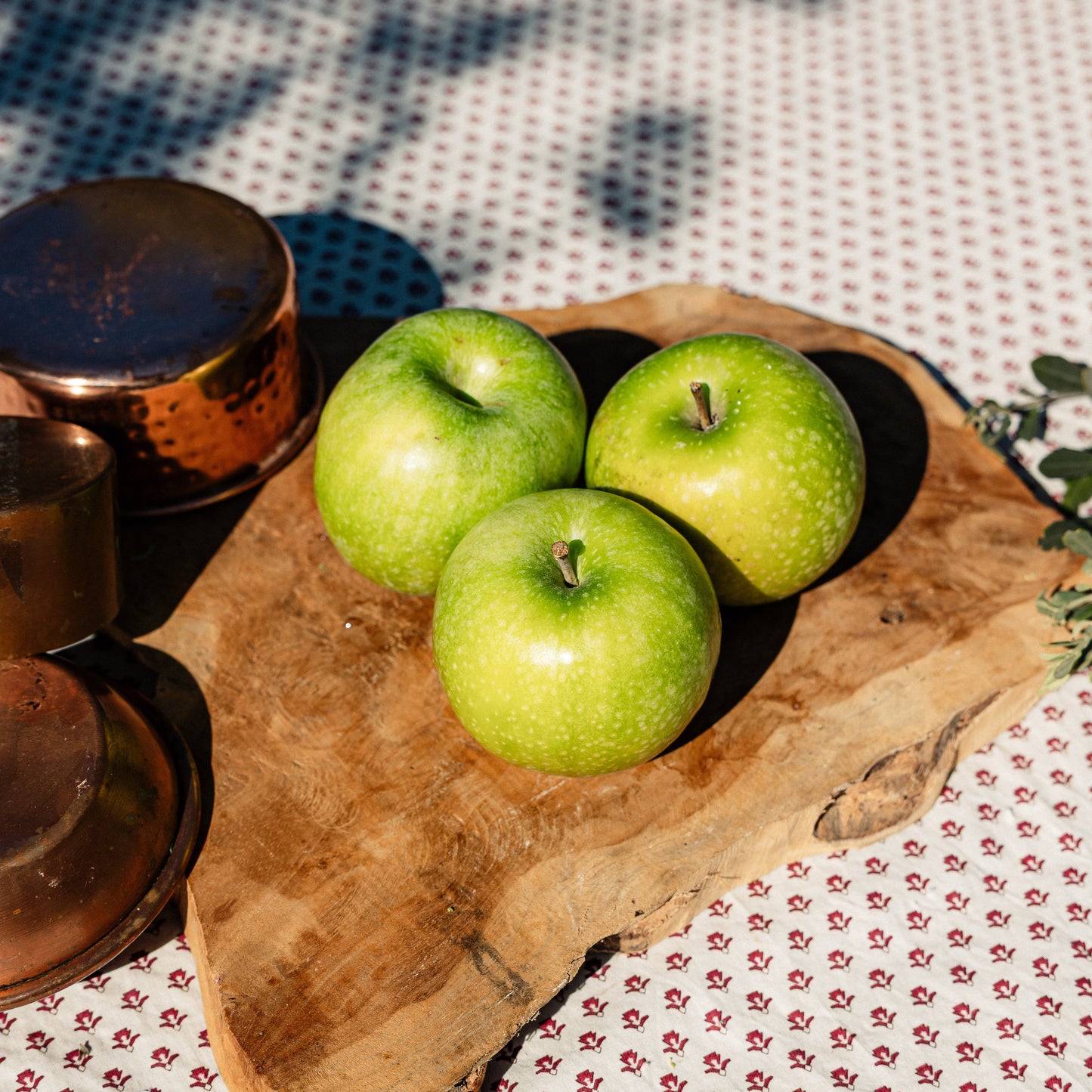 Pomme Granny Smith HVE