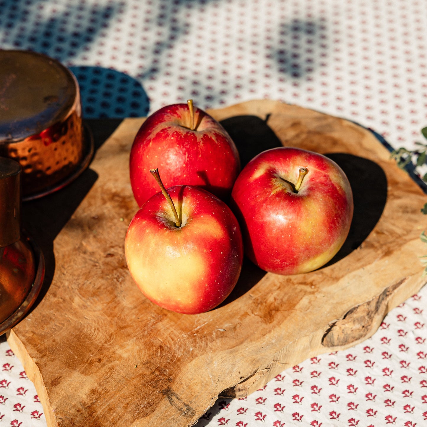 Pomme Madame Rose HVE