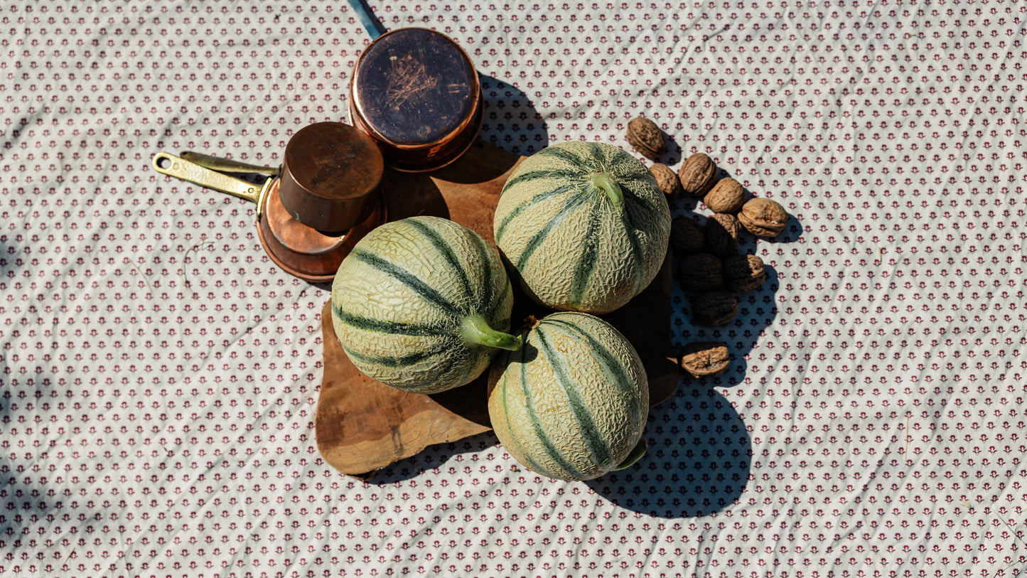Melon HVE par 3
