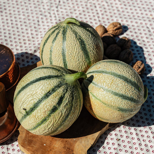 Melon HVE par 3