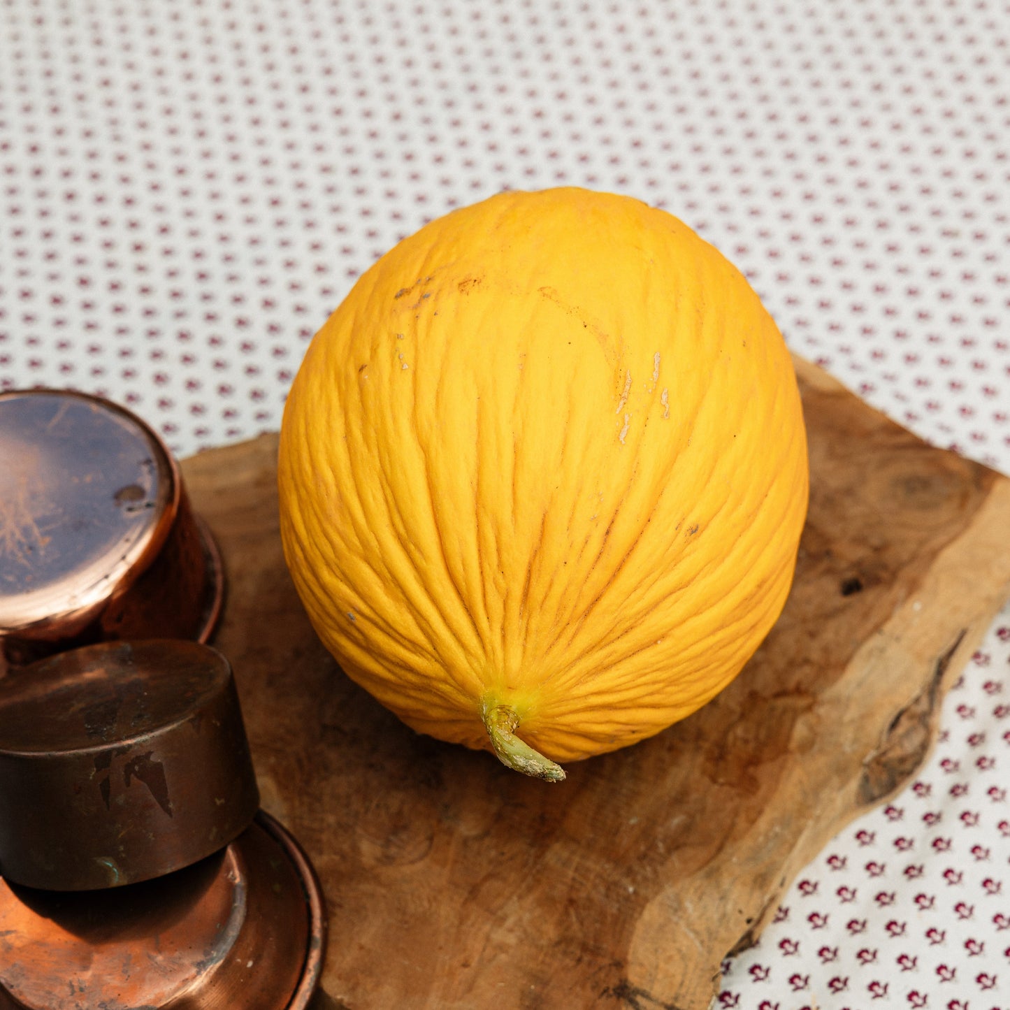 Melon canari HVE