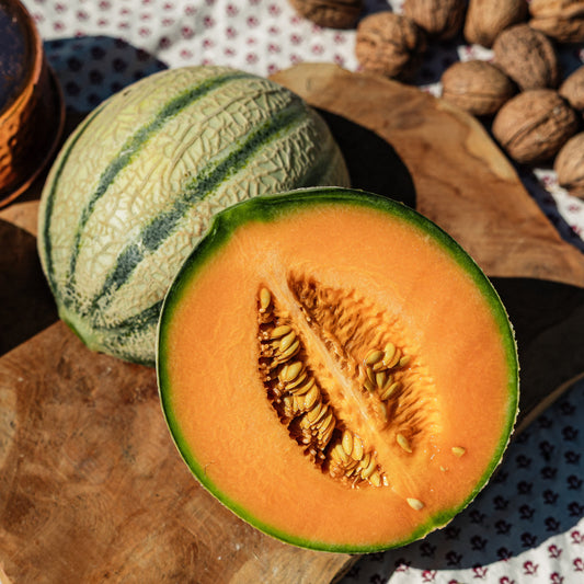 Melon HVE