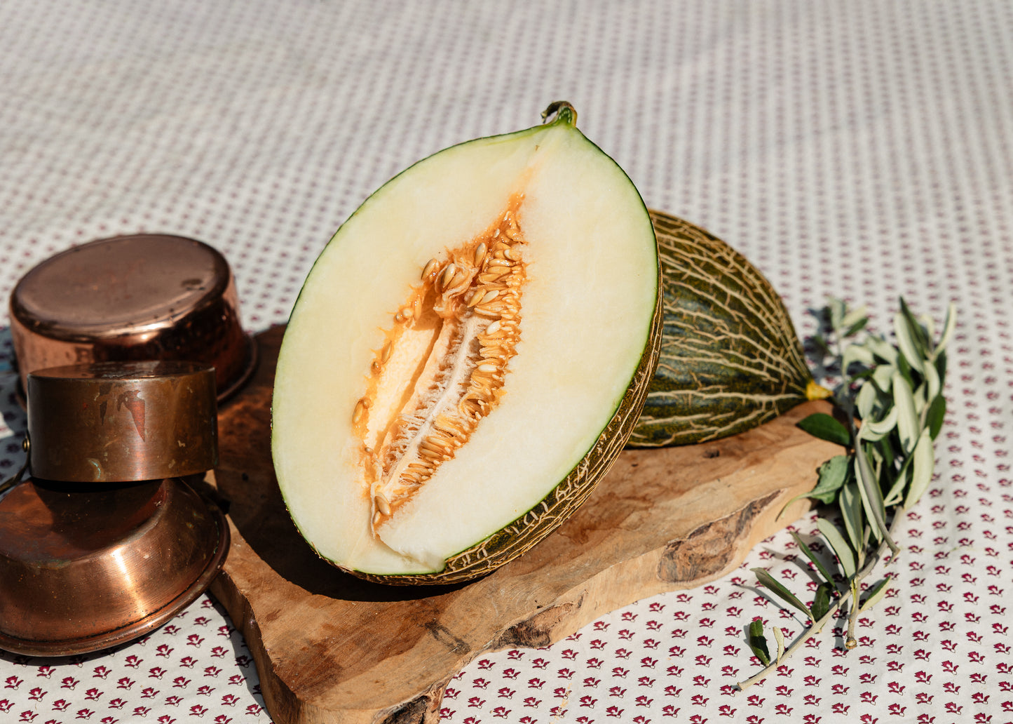 Melon vert HVE