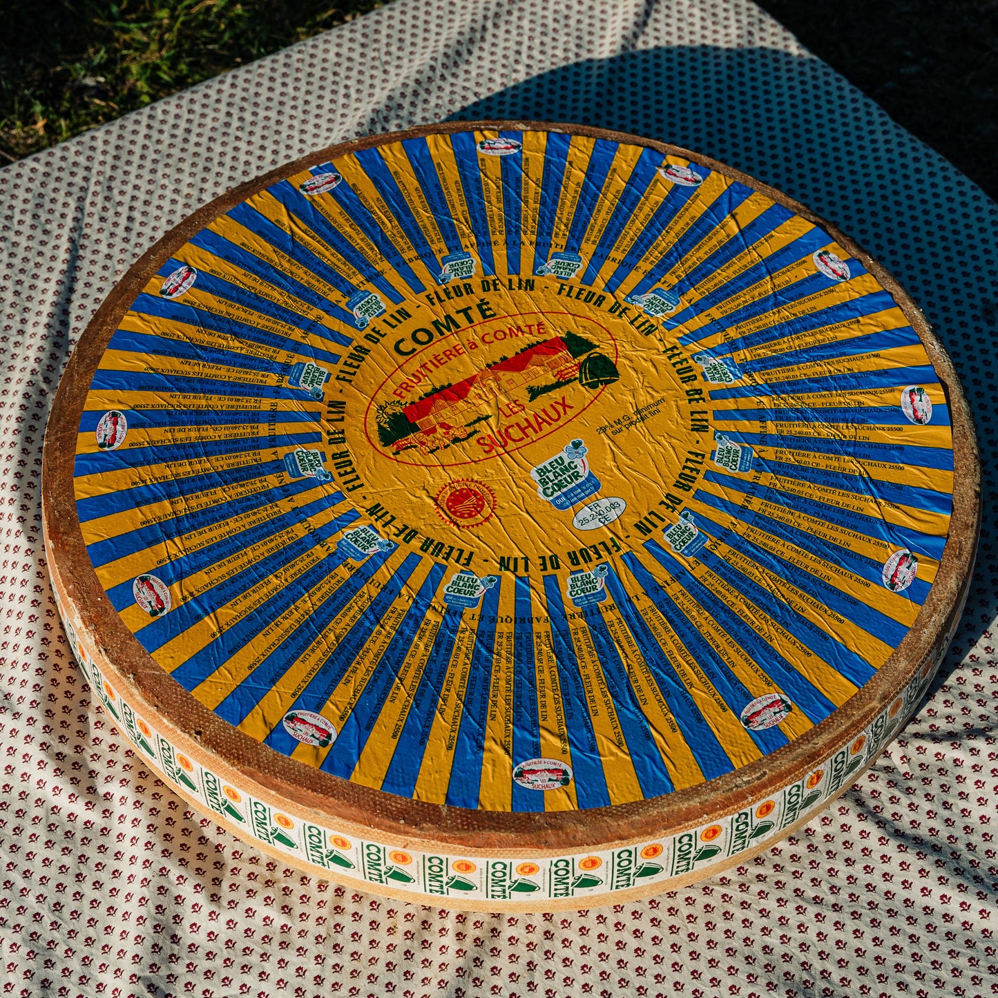 Comte AOP Fruite 12 mois