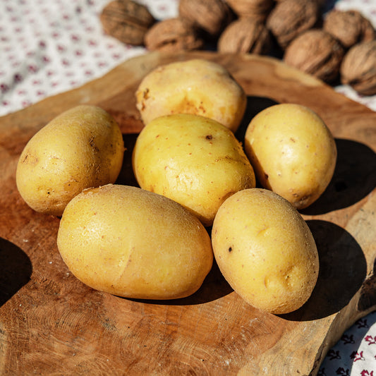 Pommes de terres HVE