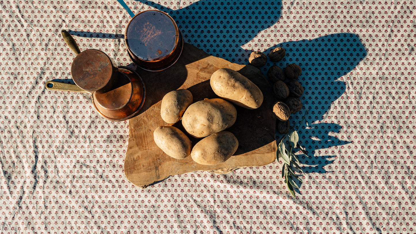 Pommes de terres Nazca HVE