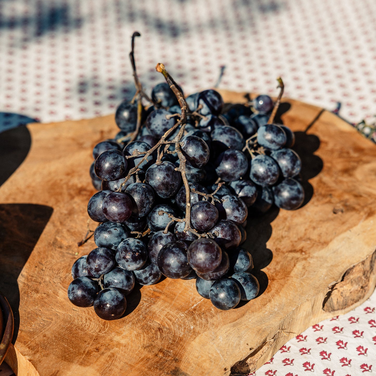Raisin Prima HVE