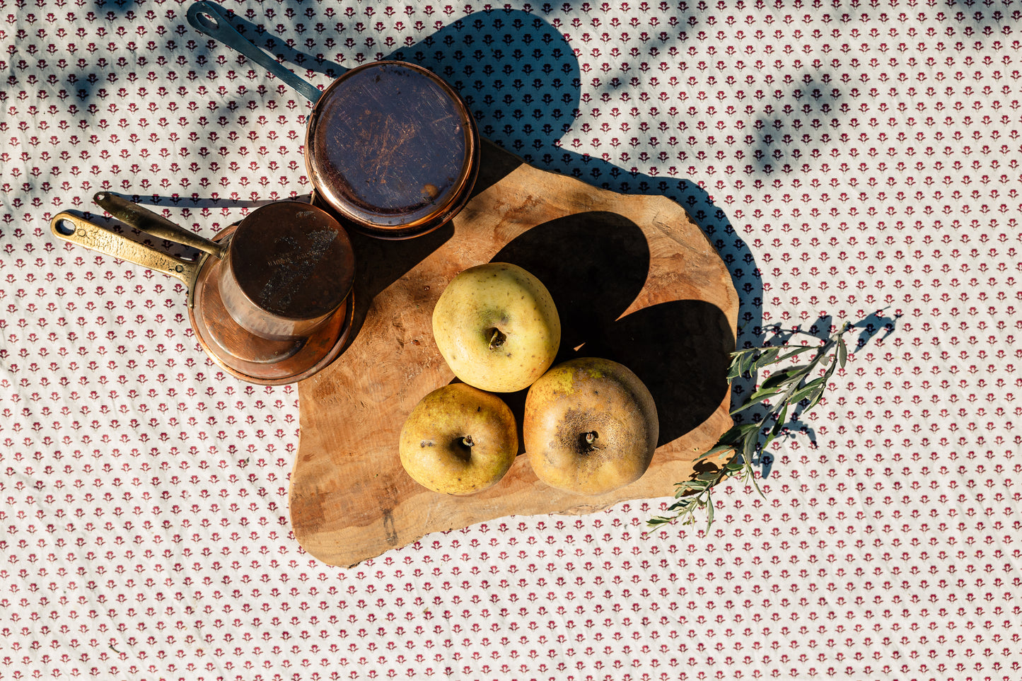 Pomme Reinette grise HVE