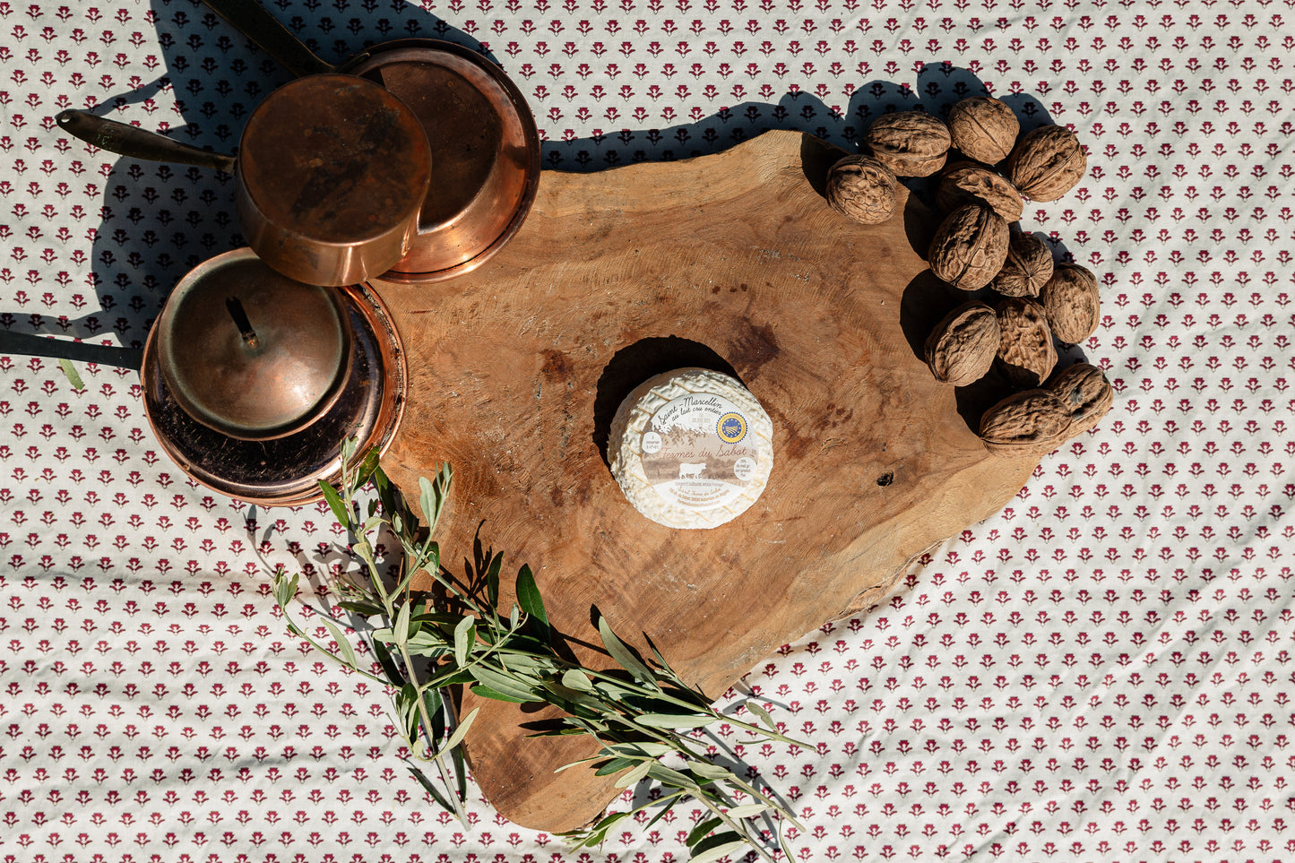 Saint-Marcellin IGP fermier au lait cru