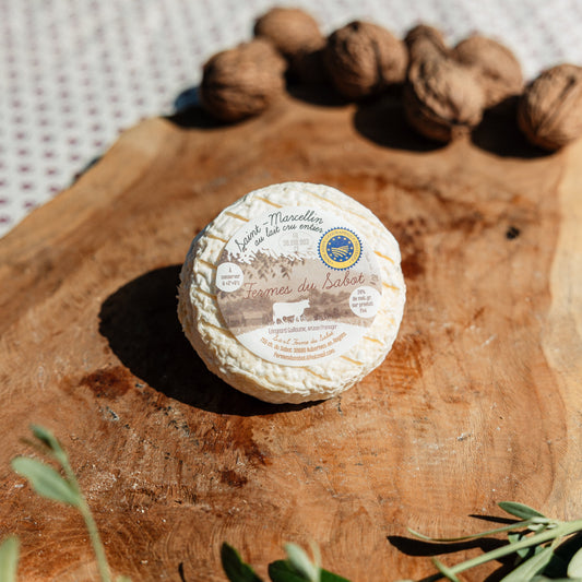 Saint-Marcellin IGP fermier au lait cru