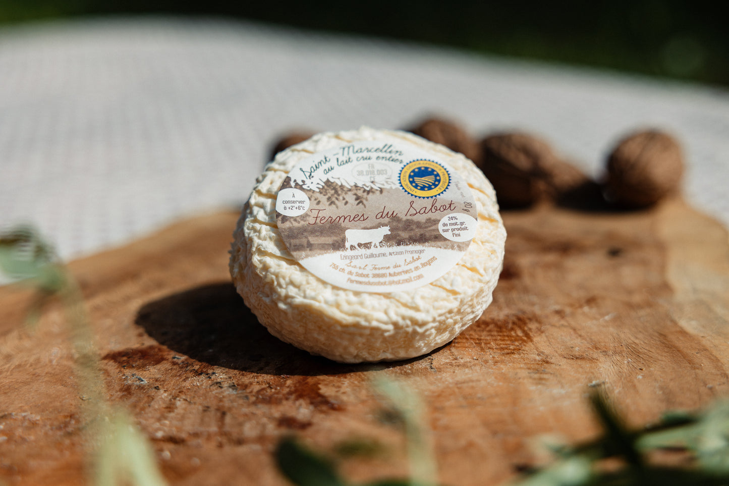 Saint-Marcellin IGP fermier au lait cru