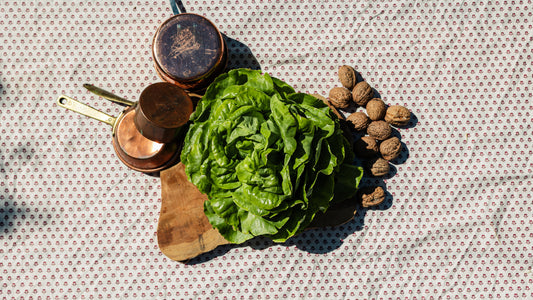Salade laitue HVE