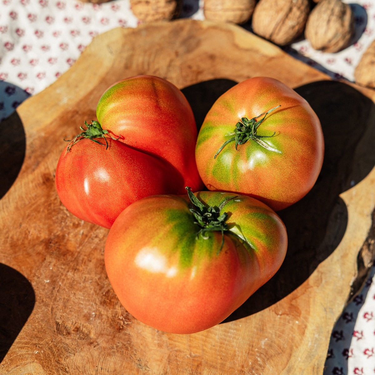 Tomates Marmande HVE