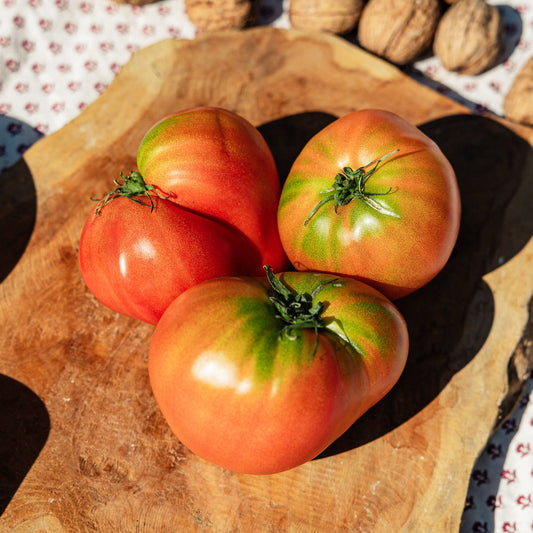 Tomates Marmande HVE