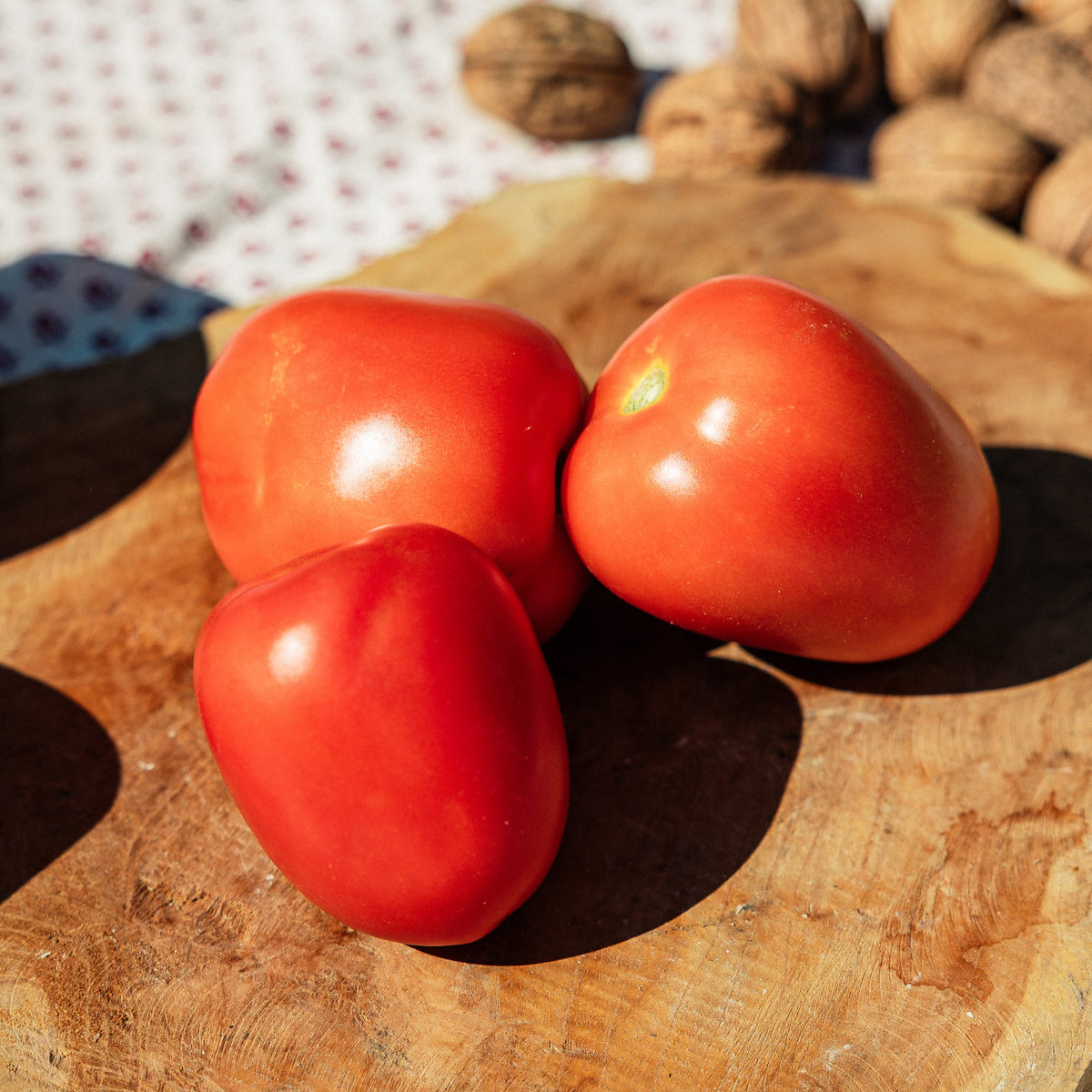 Tomates Roma HVE