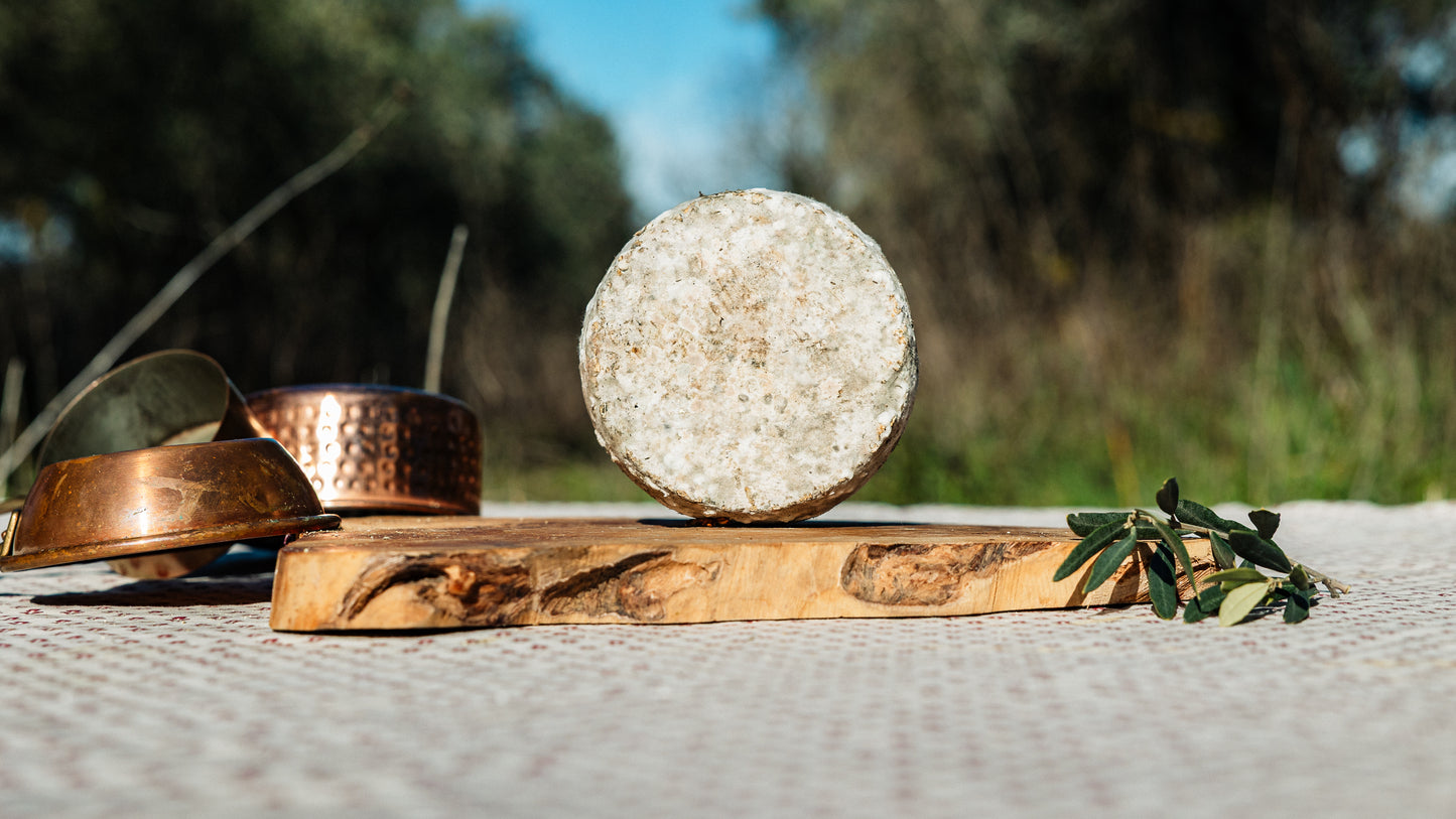 Tomette de brebis fermiere