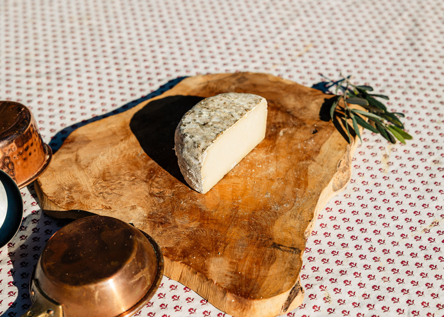 Tomette de brebis fermiere