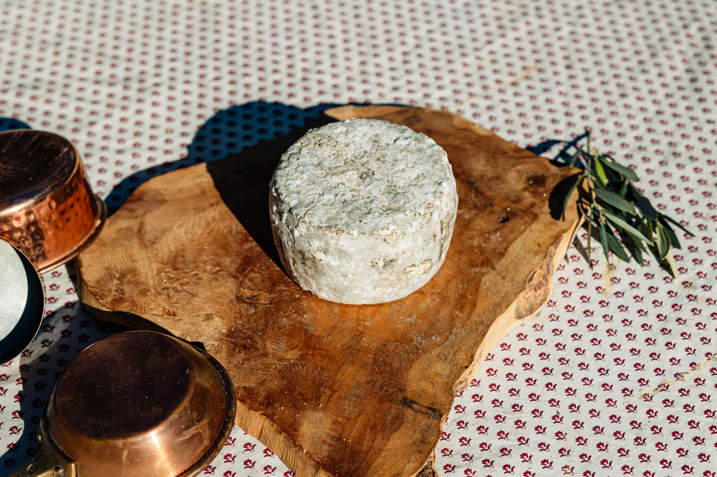 Tomette de brebis fermiere