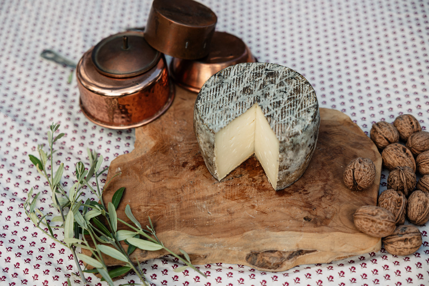Tomette de brebis