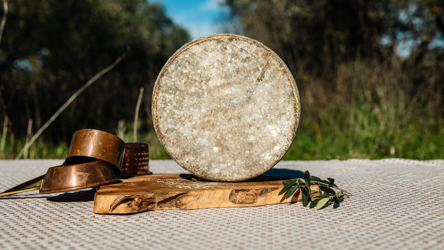 Tomme de brebis fermiere