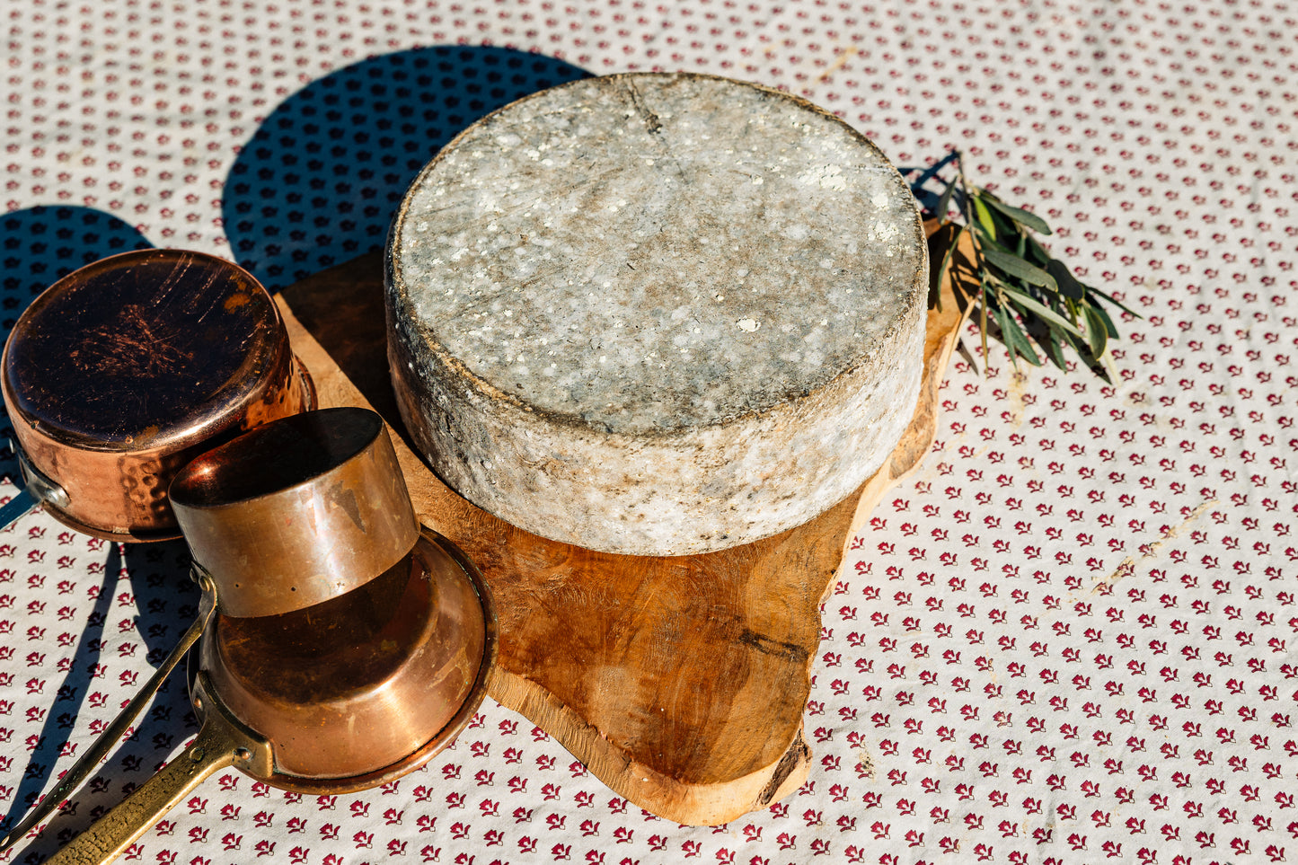 Tomme de brebis fermiere