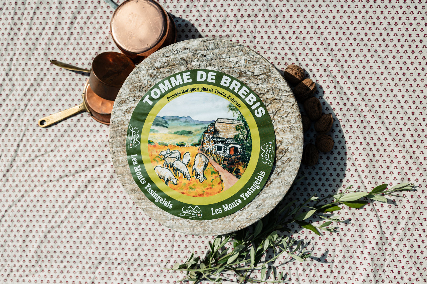 Tomme de brebis