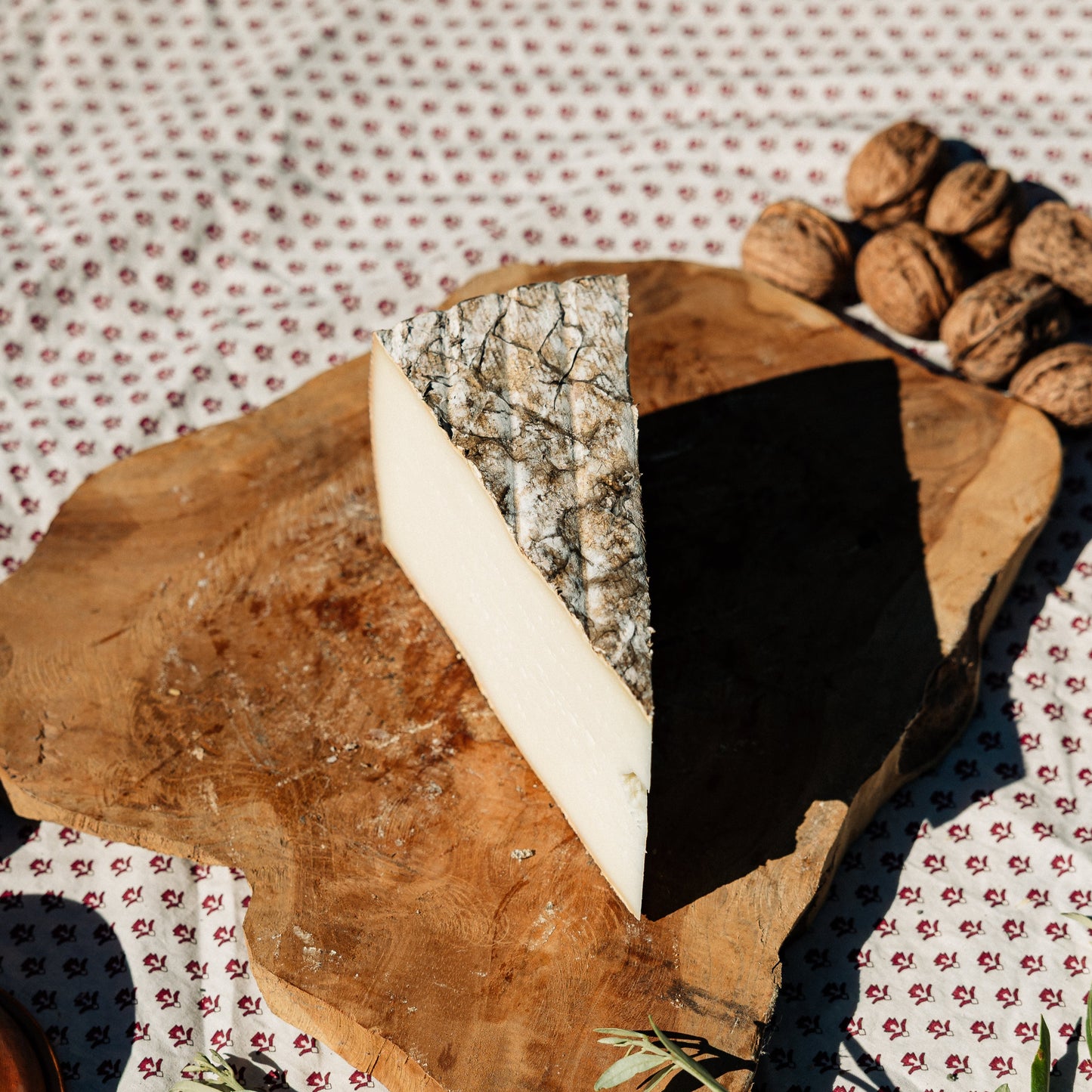 Tomme de brebis