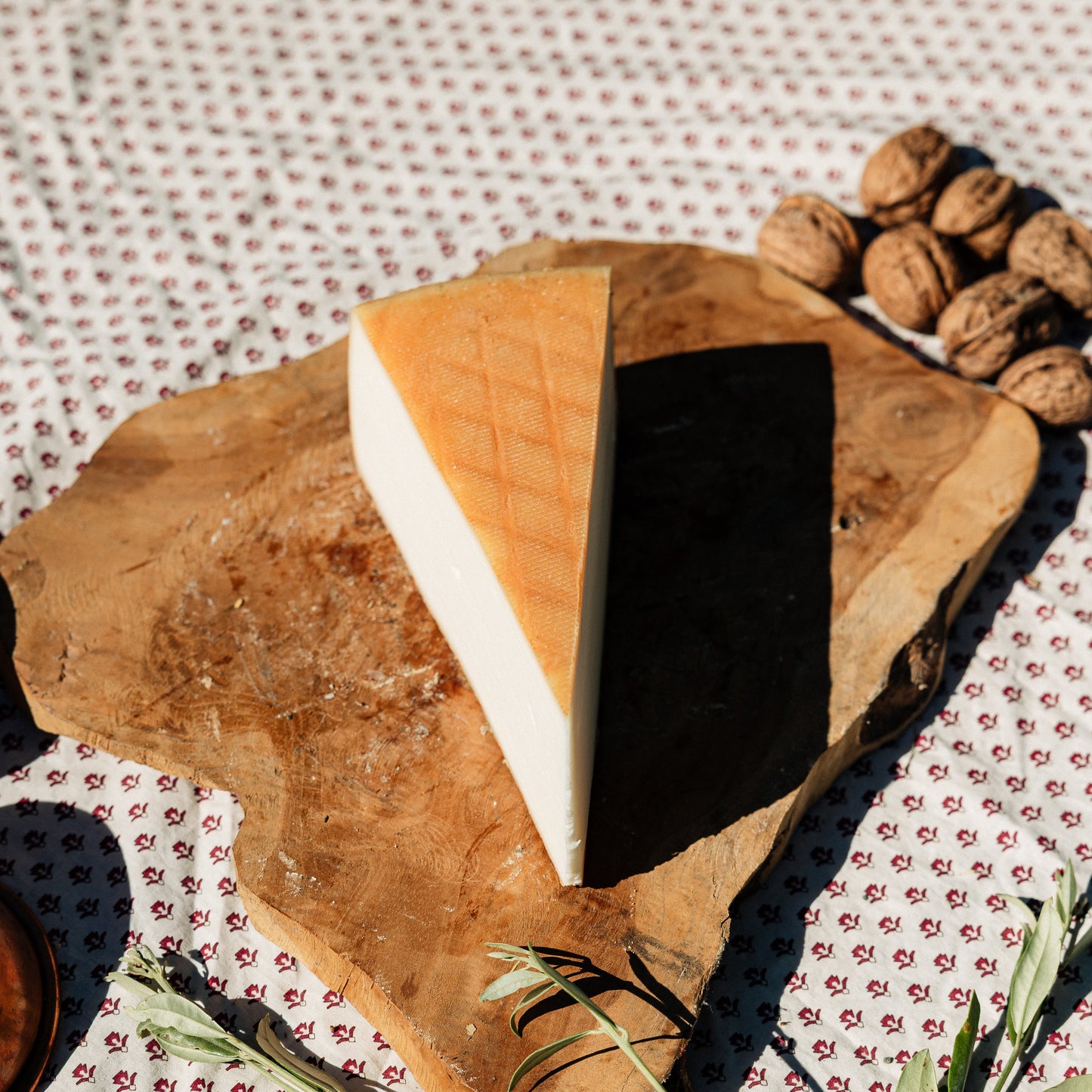 Tomme de chèvre