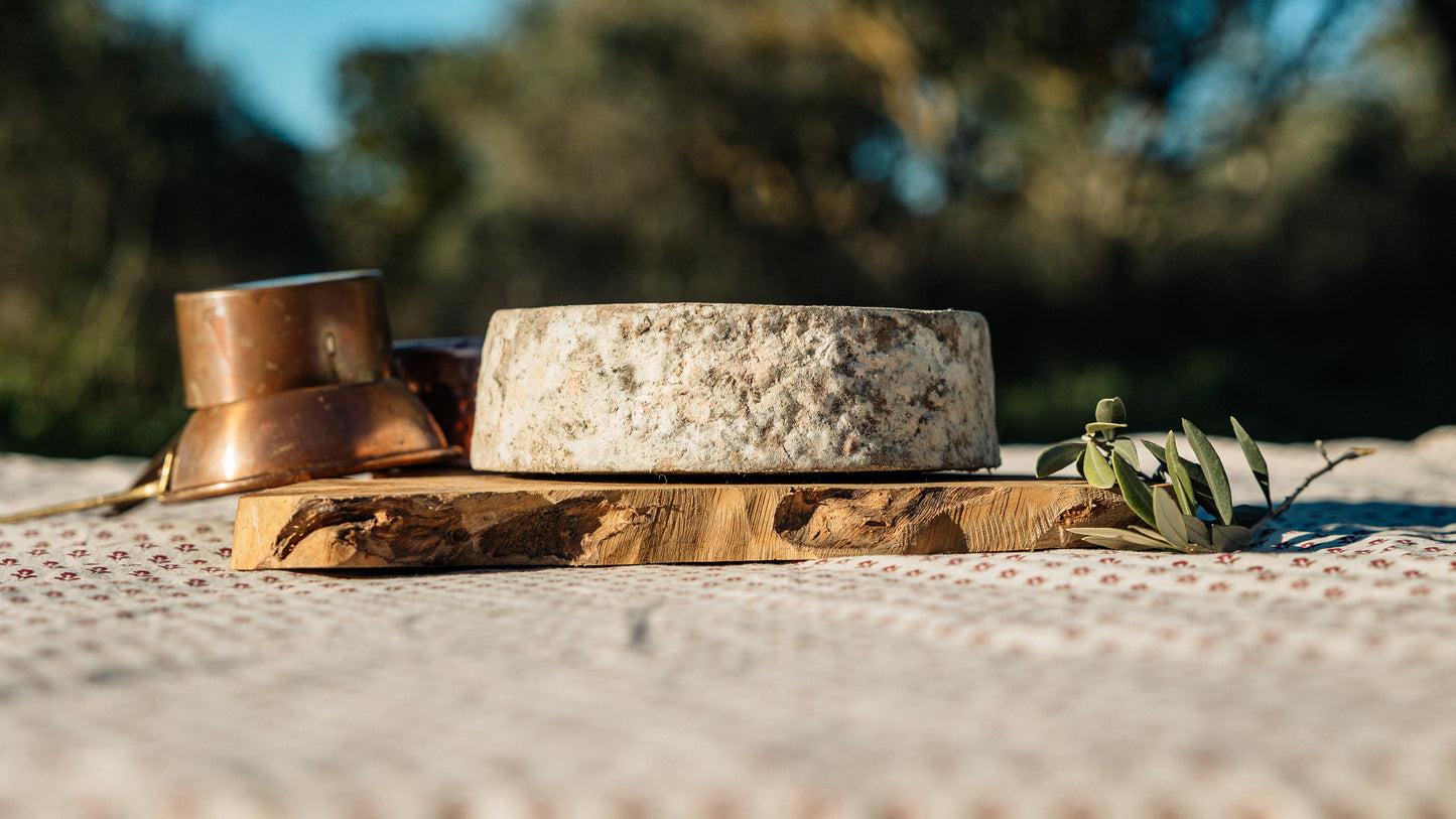 Tomme fermiere de vache