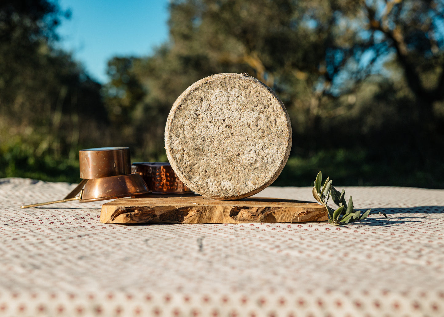 Tomme fermiere de vache affinee