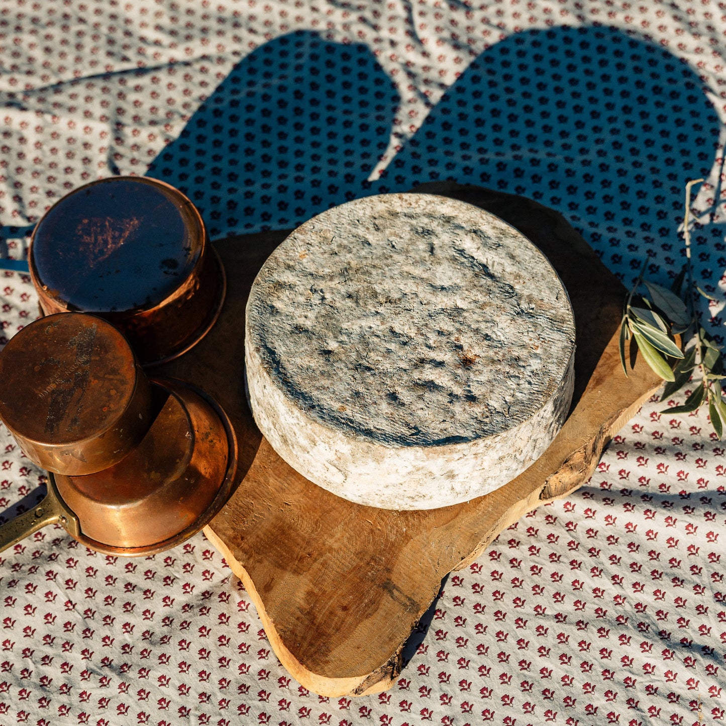 Tomme fermiere de vache