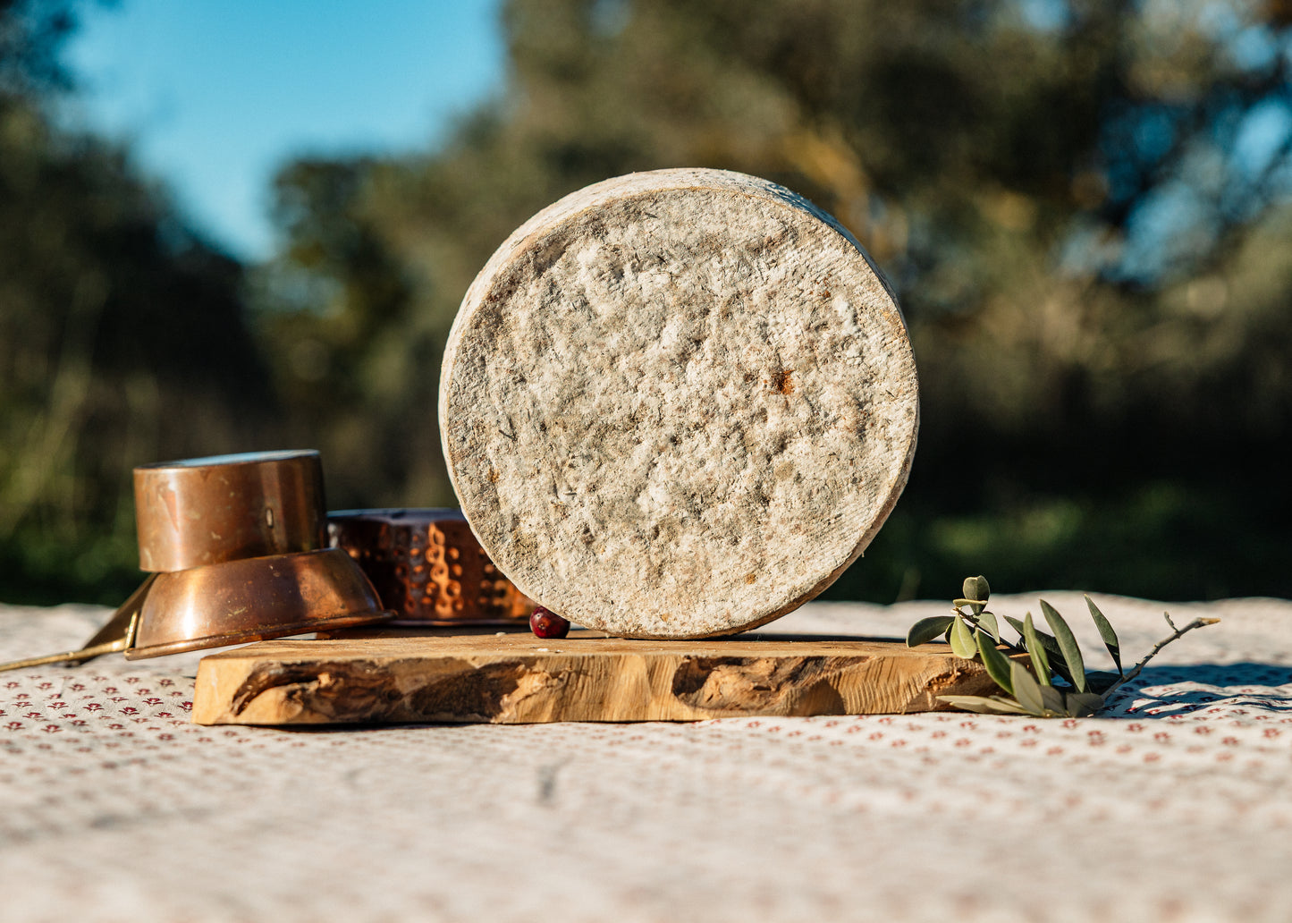 Tomme fermiere de vache