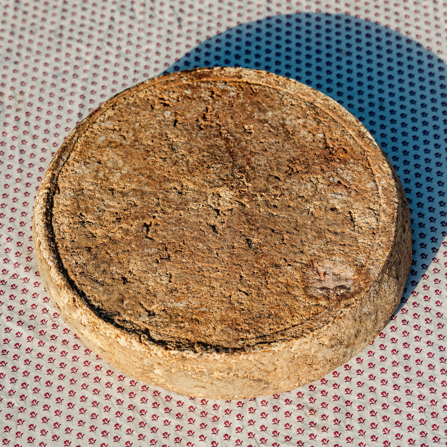 Tomme fermiere de vache vieille
